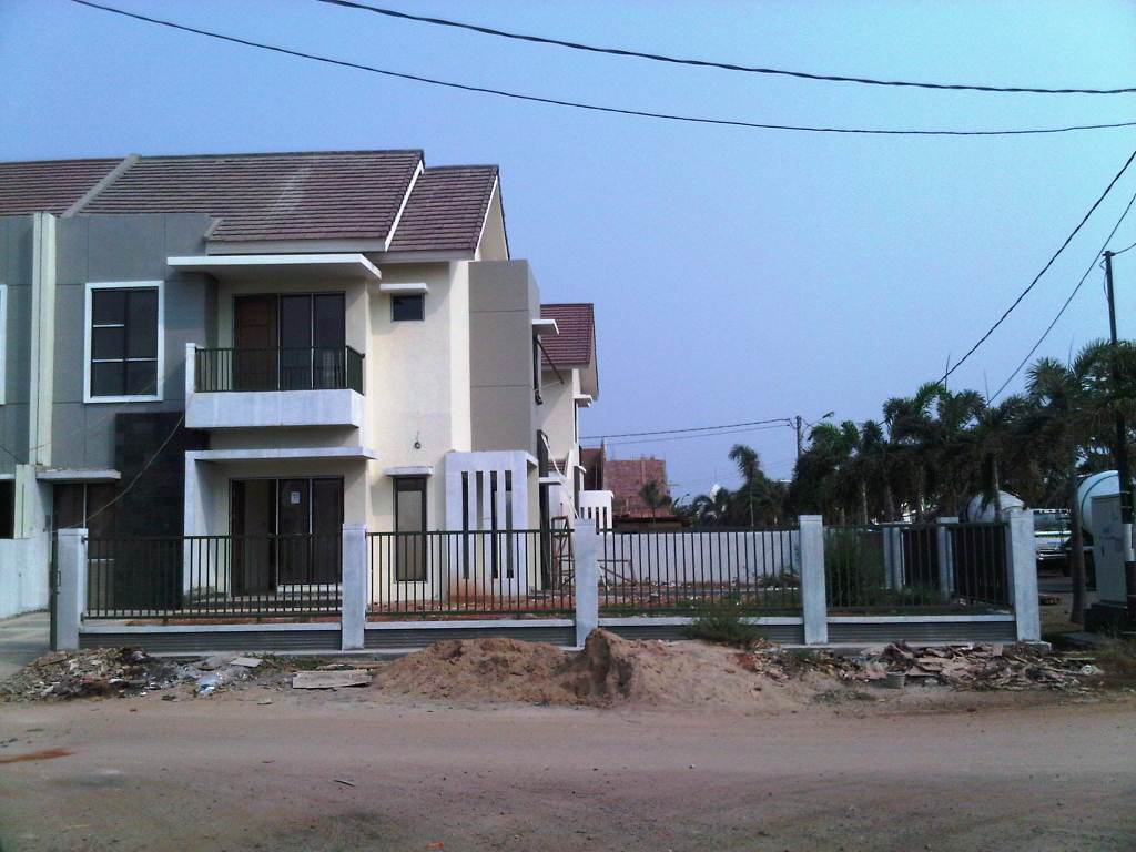 Cluster Aralia photo 6