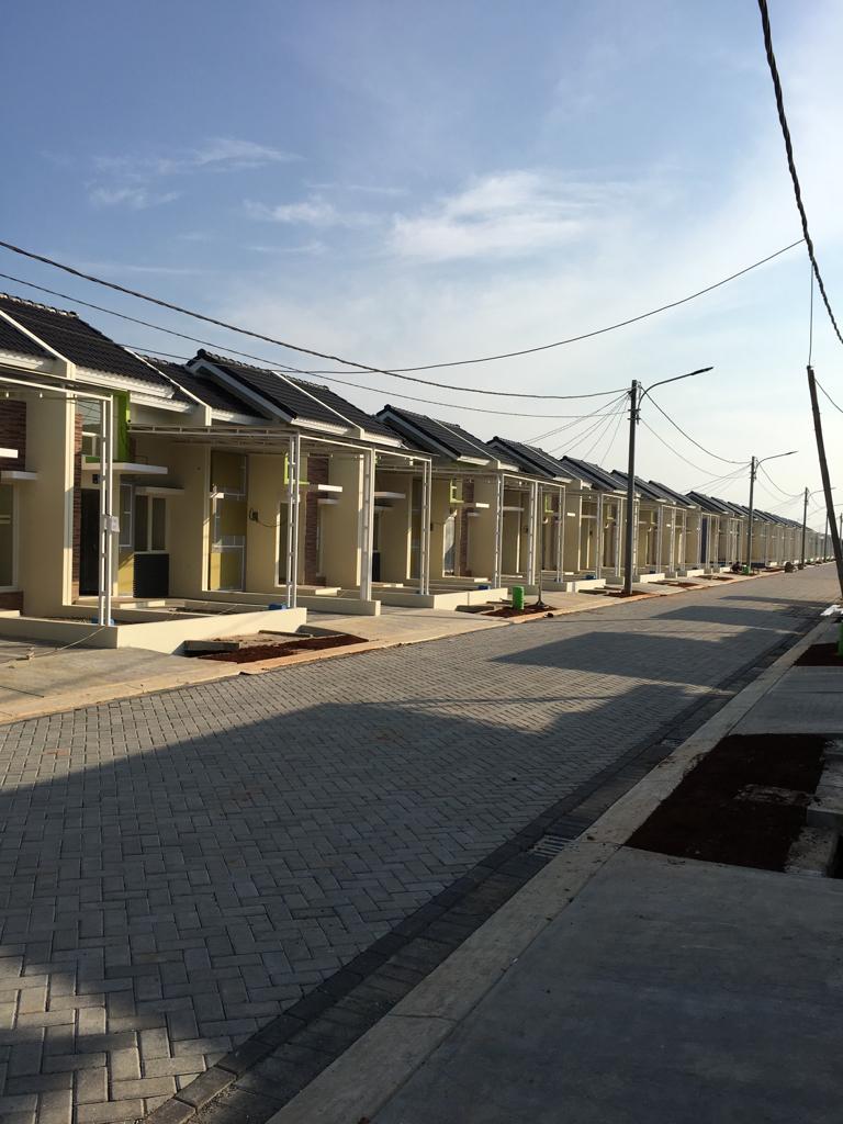 Cluster Vasana photo 2