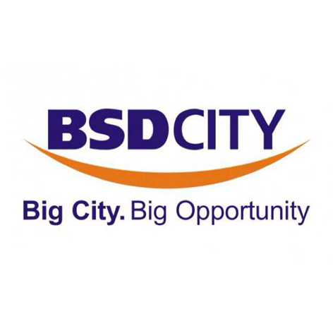 BSD City